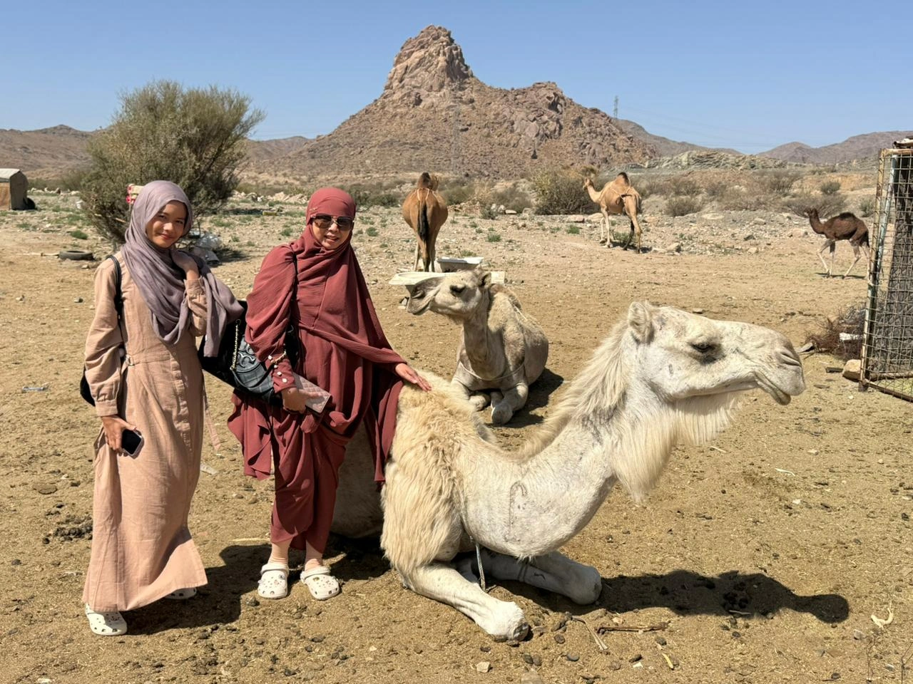 Galeri Perjalanan Umroh 18